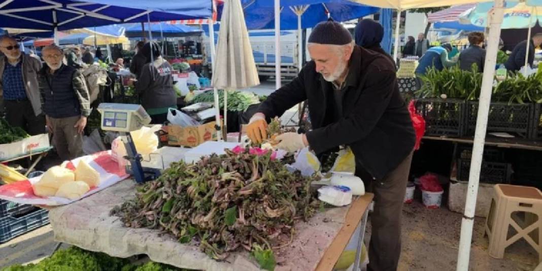 Baharda kendi kendine yetişiyor, pazarın gözdesi oluyor: Kilosu 100 TL’den alınıyor 1
